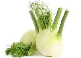 fennel