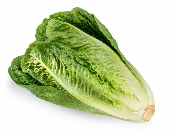 romaine
