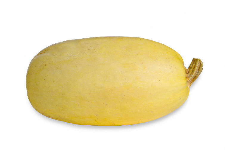 spaghettisquash